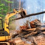 Sprievodca čistením pozemkov. Ako na to?